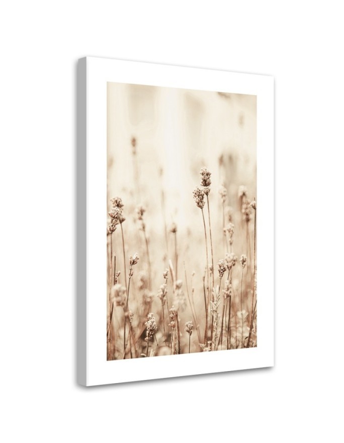 Canvas painting - Delicate field flowers | FEEBY