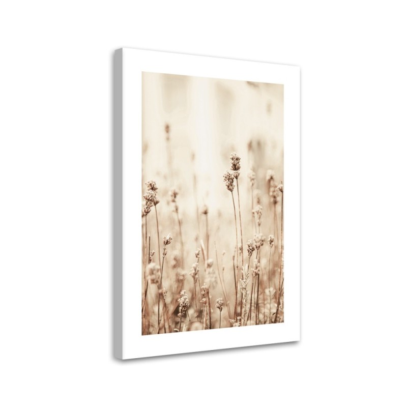 Canvas painting - Delicate field flowers | FEEBY