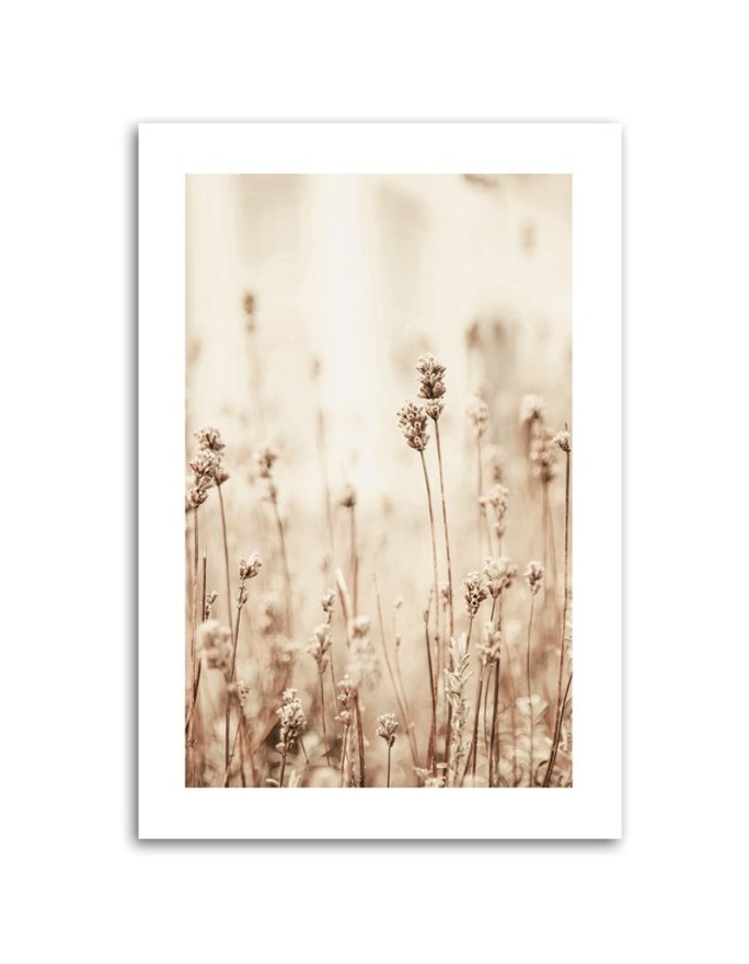 Canvas painting - Delicate field flowers | FEEBY