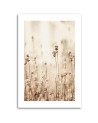 Canvas painting - Delicate field flowers | FEEBY