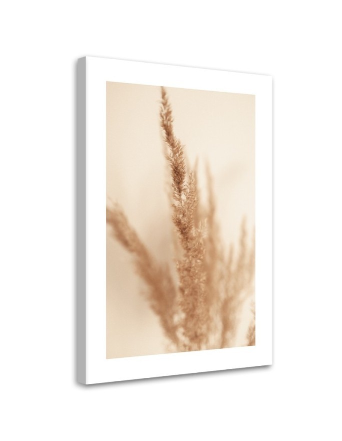Canvas painting - Beige pampas grass | FEEBY
