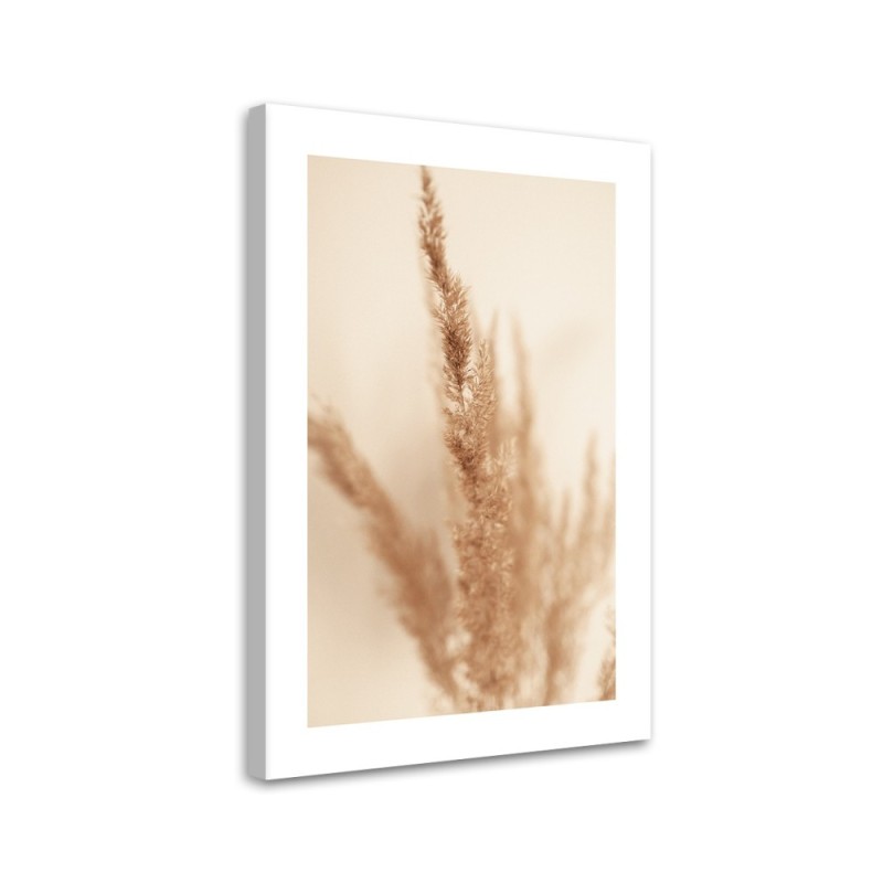 Canvas painting - Beige pampas grass | FEEBY