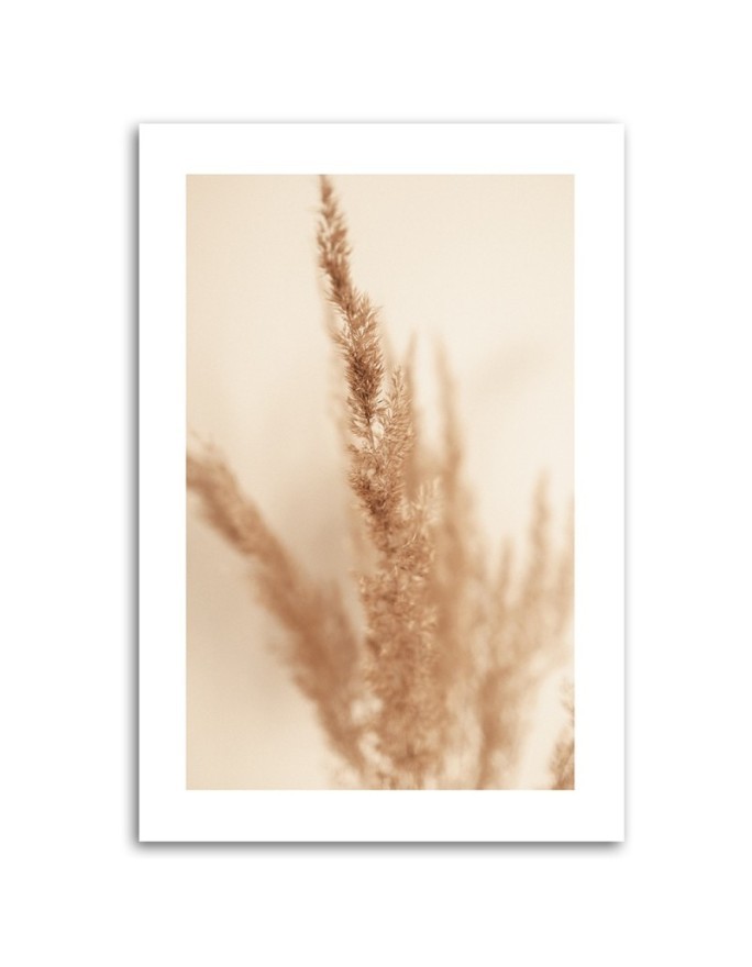 Canvas painting - Beige pampas grass | FEEBY