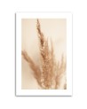 Canvas painting - Beige pampas grass | FEEBY