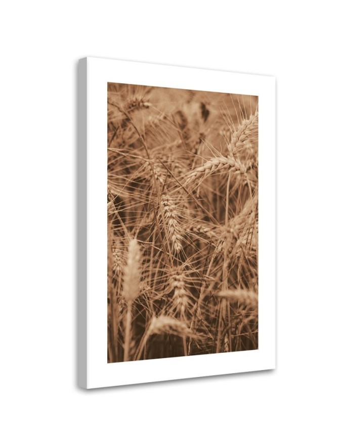 Canvas painting - Cereal ears | FEEBY