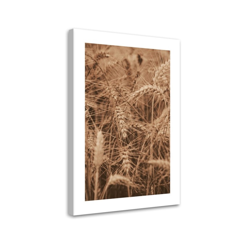 Canvas painting - Cereal ears | FEEBY