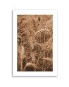 Canvas painting - Cereal ears | FEEBY