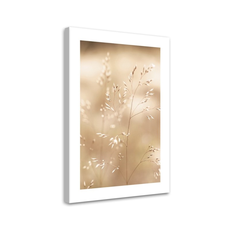 Canvas painting - Dry grass on a beige background | FEEBY