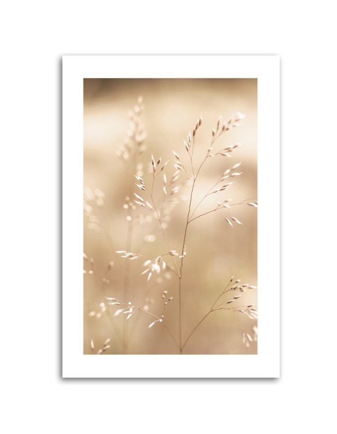 Canvas painting - Dry grass on a beige background | FEEBY