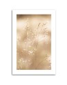 Canvas painting - Dry grass on a beige background | FEEBY