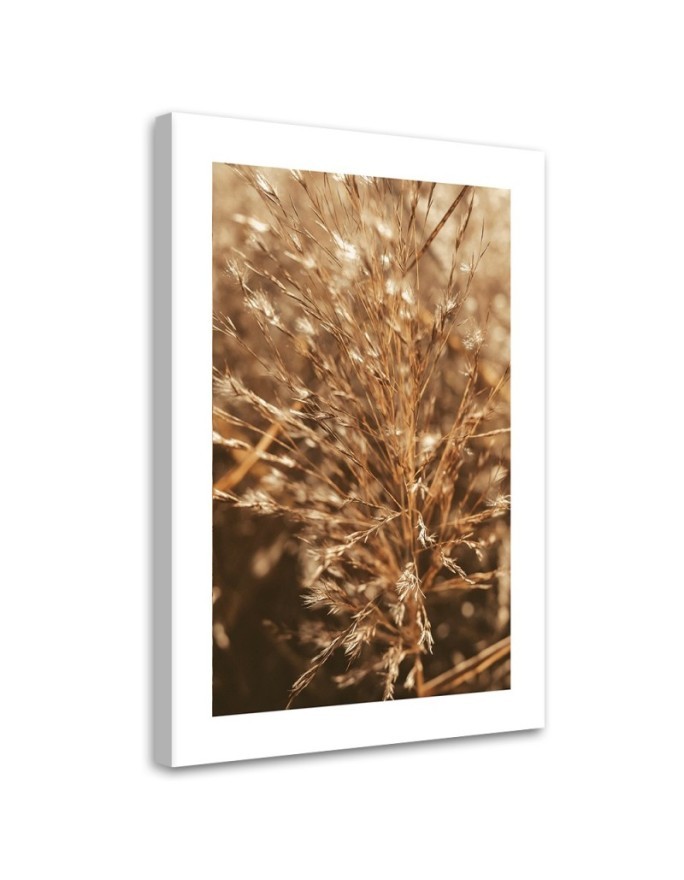 Canvas painting - Beige grass | FEEBY
