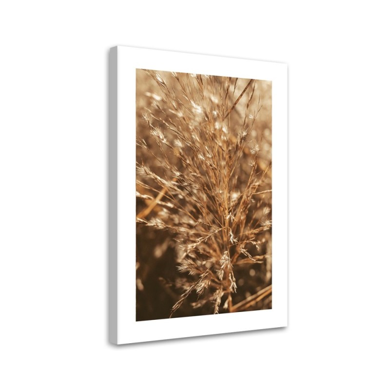 Canvas painting - Beige grass | FEEBY