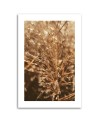 Canvas painting - Beige grass | FEEBY
