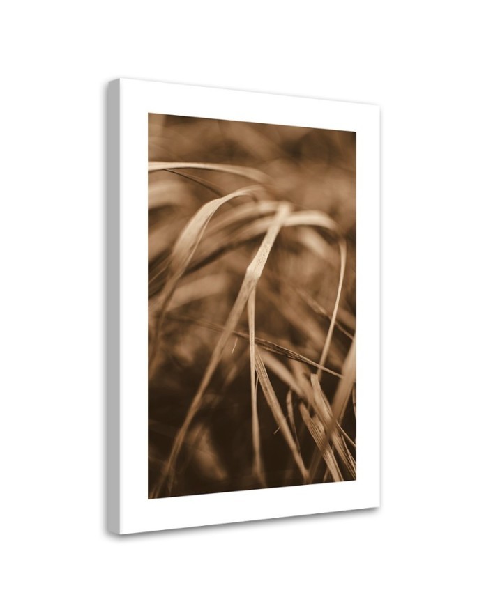 Canvas painting - Dry grass | FEEBY
