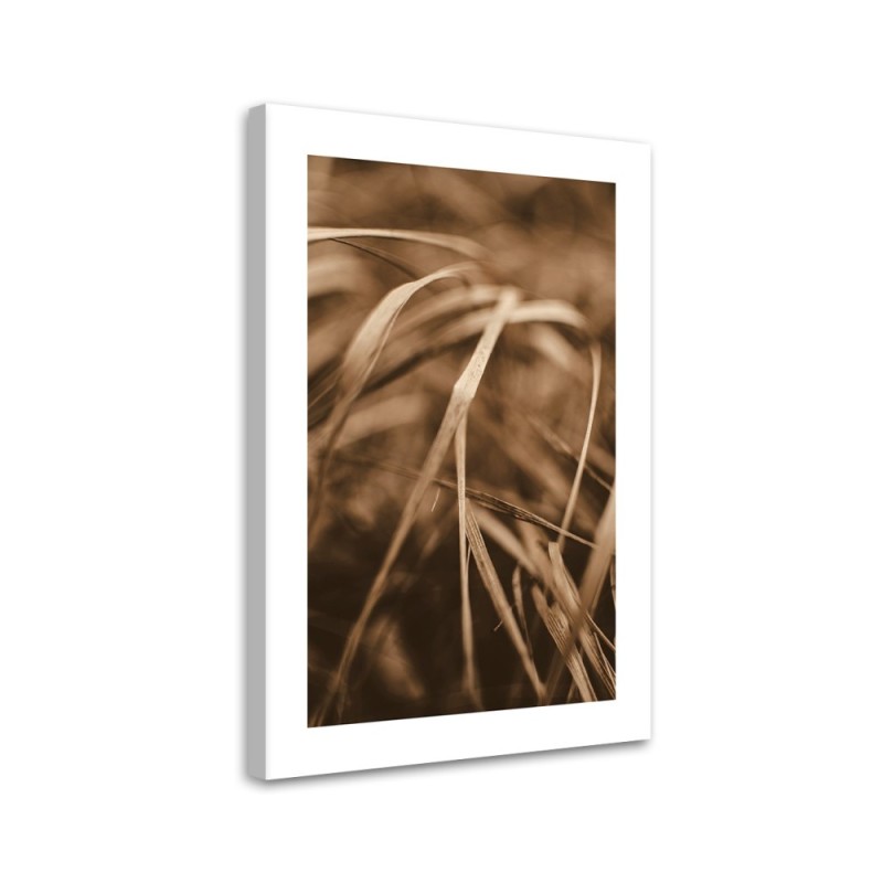 Canvas painting - Dry grass | FEEBY