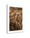 Canvas painting - Dry grass | FEEBY