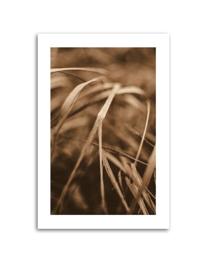 Canvas painting - Dry grass | FEEBY