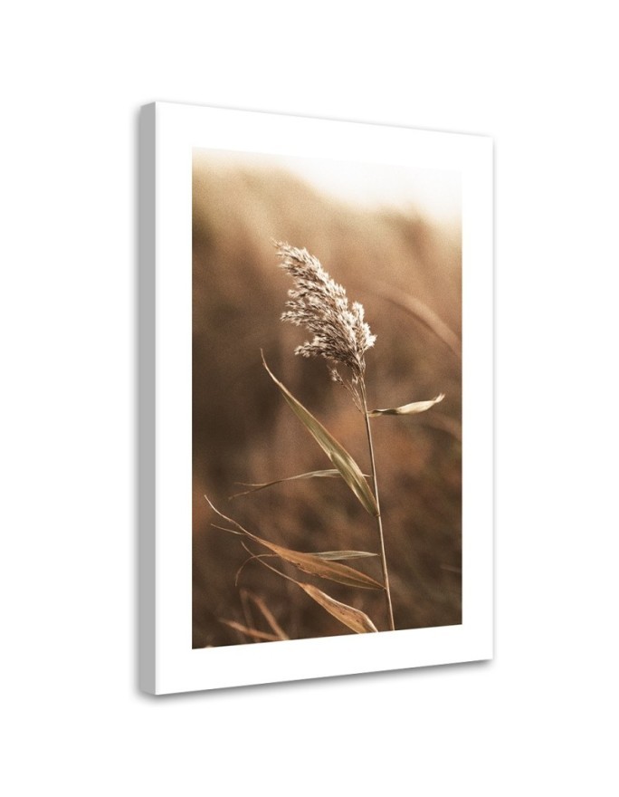 Canvas painting - Macro reed | FEEBY