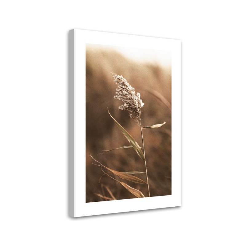Canvas painting - Macro reed | FEEBY
