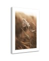 Canvas painting - Macro reed | FEEBY