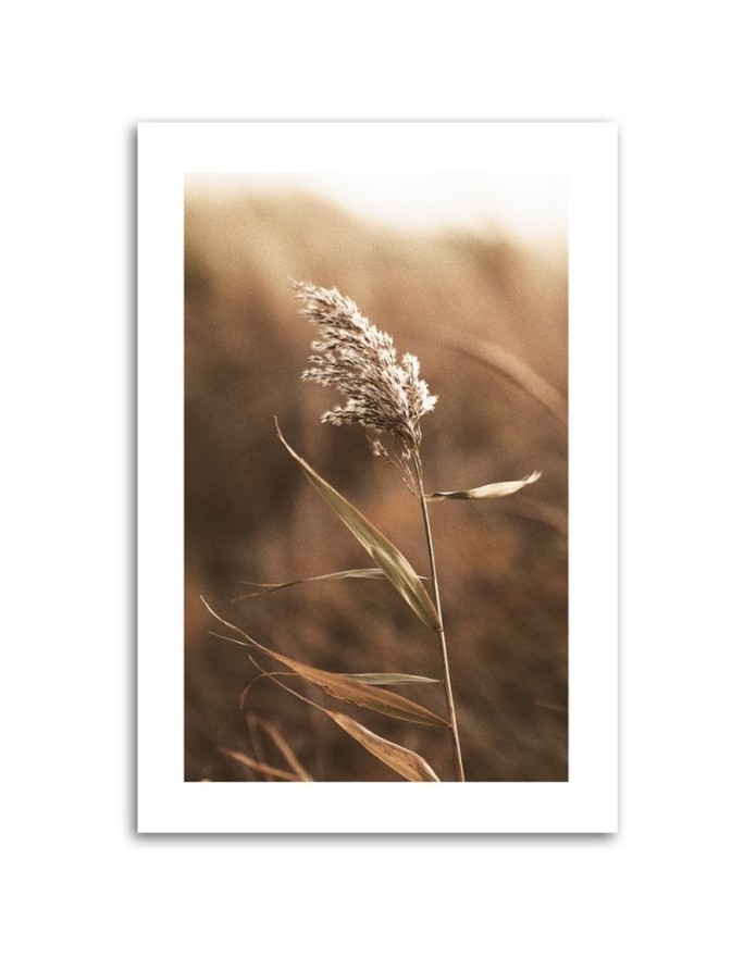 Canvas painting - Macro reed | FEEBY