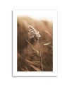Canvas painting - Macro reed | FEEBY