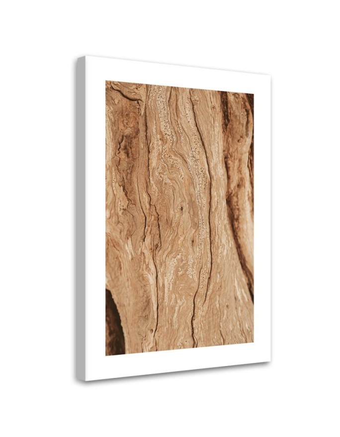 Canvas print Tree without bark