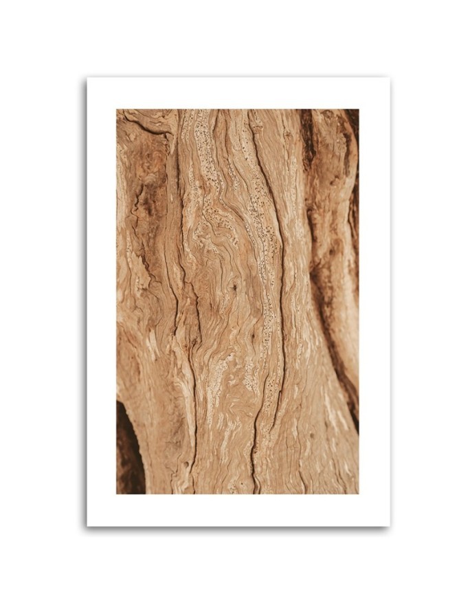 Canvas painting - Tree without bark | FEEBY