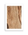 Canvas painting - Tree without bark | FEEBY