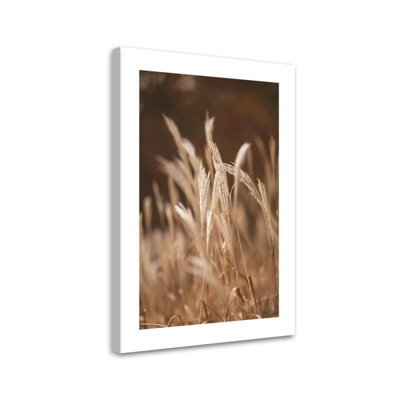 Canvas painting - Dry grass in a meadow | FEEBY