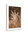 Canvas painting - Dry grass in a meadow | FEEBY