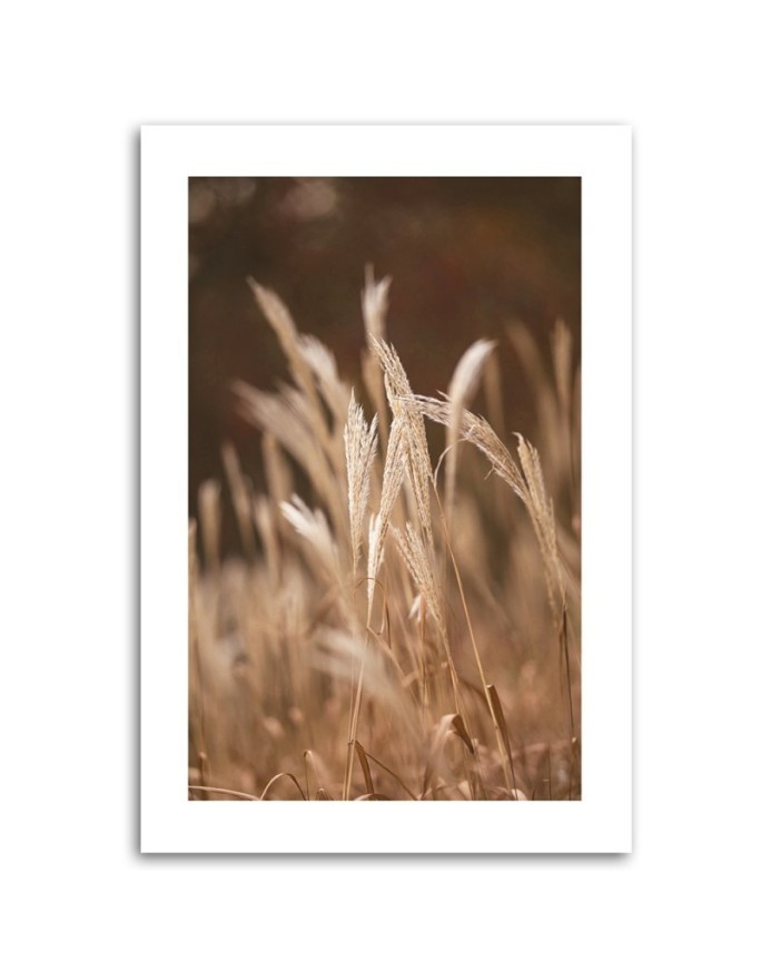Canvas painting - Dry grass in a meadow | FEEBY
