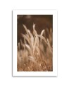 Canvas painting - Dry grass in a meadow | FEEBY