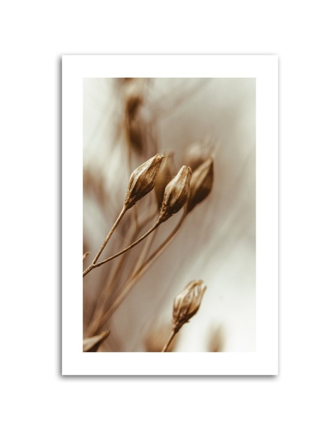 Canvas painting - Dried flower leaves | FEEBY