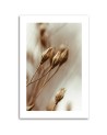 Canvas painting - Dried flower leaves | FEEBY