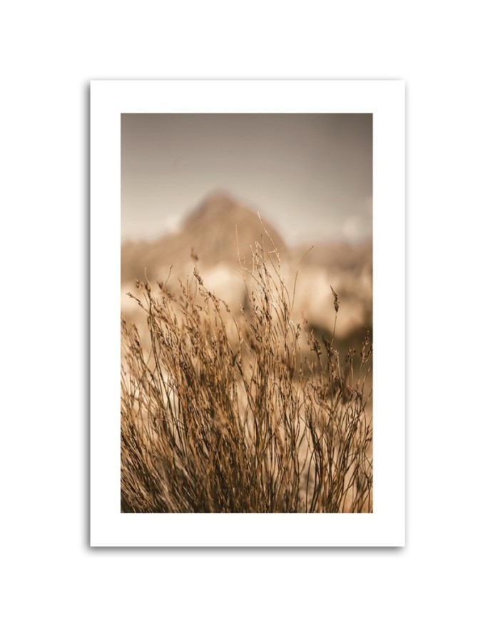 Canvas painting - Dried grass | FEEBY