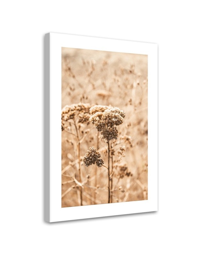 Canvas painting - Beige grasses | FEEBY