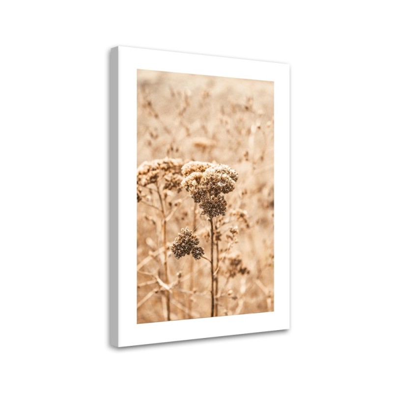 Canvas painting - Beige grasses | FEEBY