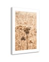 Canvas painting - Beige grasses | FEEBY