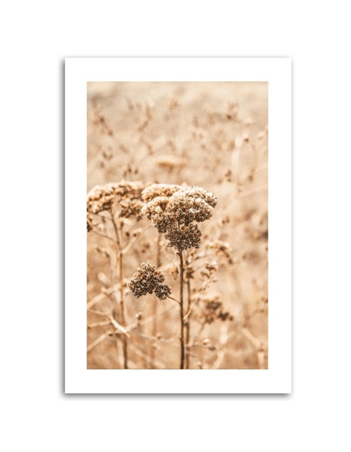 Canvas painting - Beige grasses | FEEBY