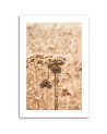 Canvas painting - Beige grasses | FEEBY