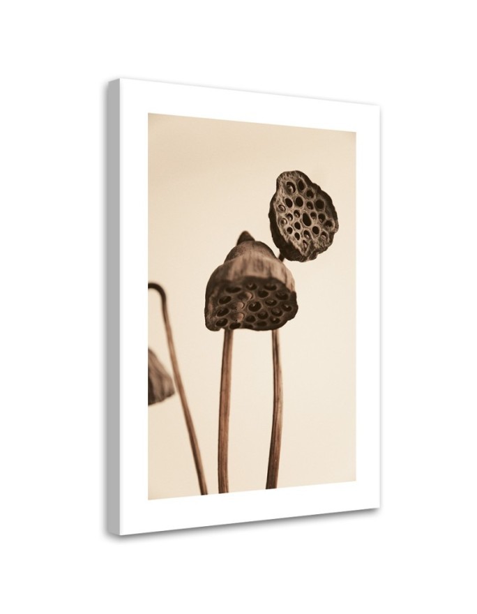 Canvas painting - Dried lotus flowers | FEEBY