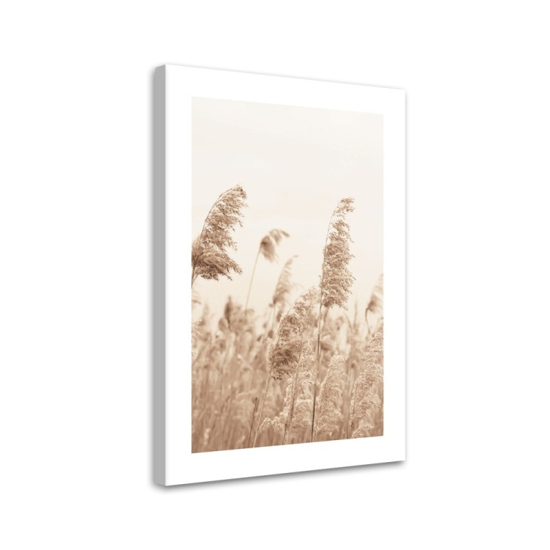 Canvas painting - Reeds swaying in the wind | FEEBY