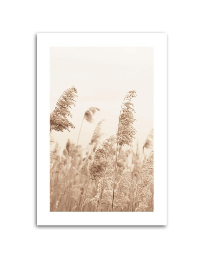 Canvas painting - Reeds swaying in the wind | FEEBY