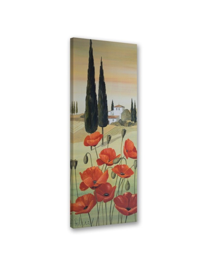 Canvas print Tuscany...