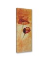 Canvas print for the living room - Two poppy flowers painted | FEEBY