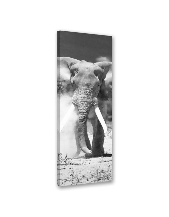 Canvas print African...