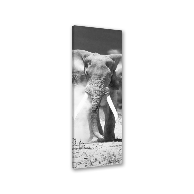 Picture for living room and bedroom - African elephant | FEEBY