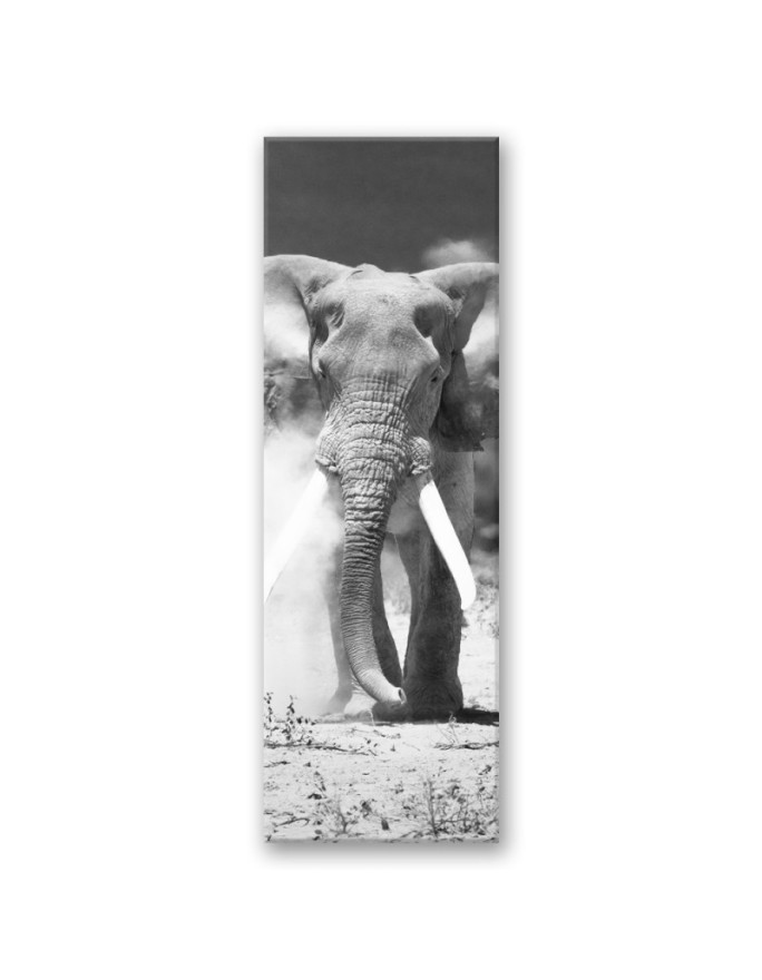 Picture for living room and bedroom - African elephant | FEEBY