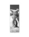 Picture for living room and bedroom - African elephant | FEEBY